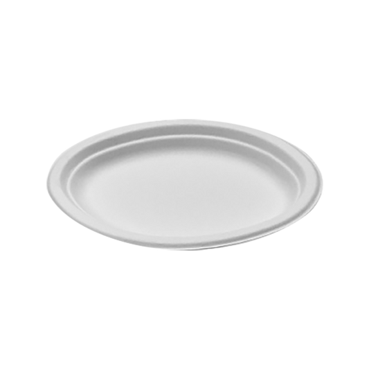 Sugarcane Oval Plate