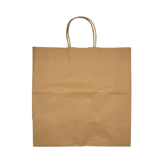Twisted Handle Bag